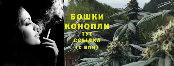 PSILOCYBIN Аркадак