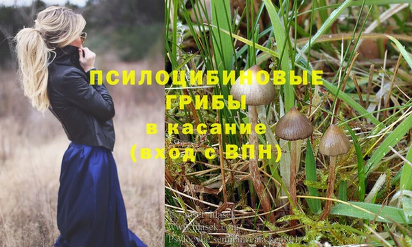 герыч Арсеньев