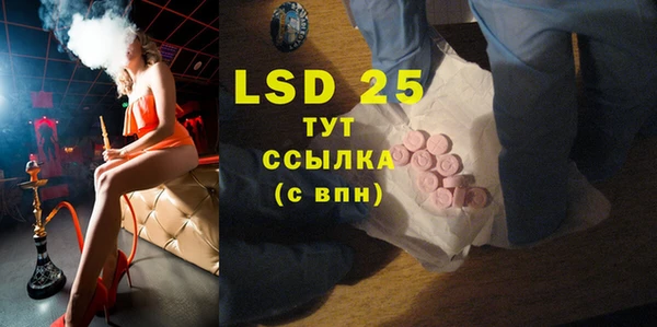 PSILOCYBIN Аркадак