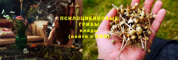PSILOCYBIN Аркадак